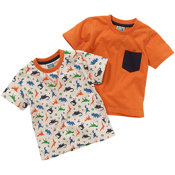 Boys Dinosaur T-Shirts