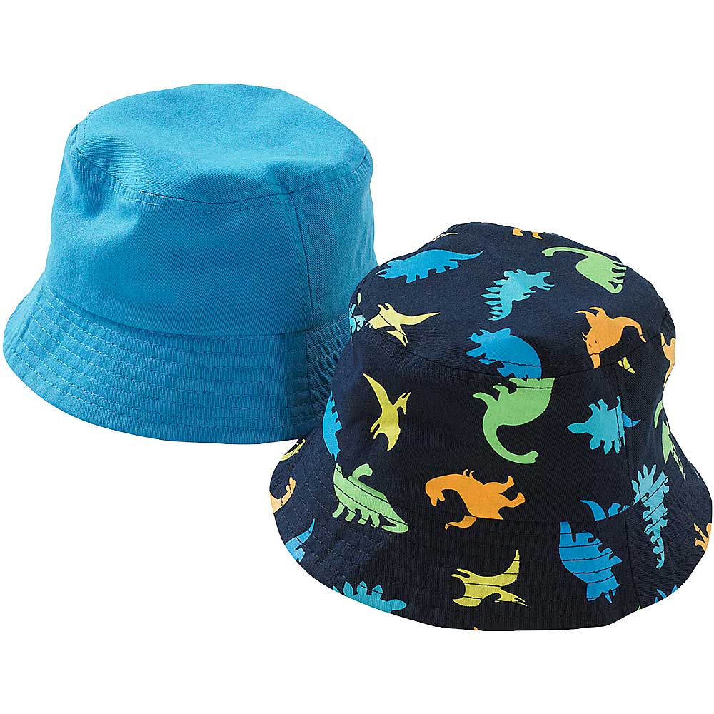 Boys Dinosaur Hat